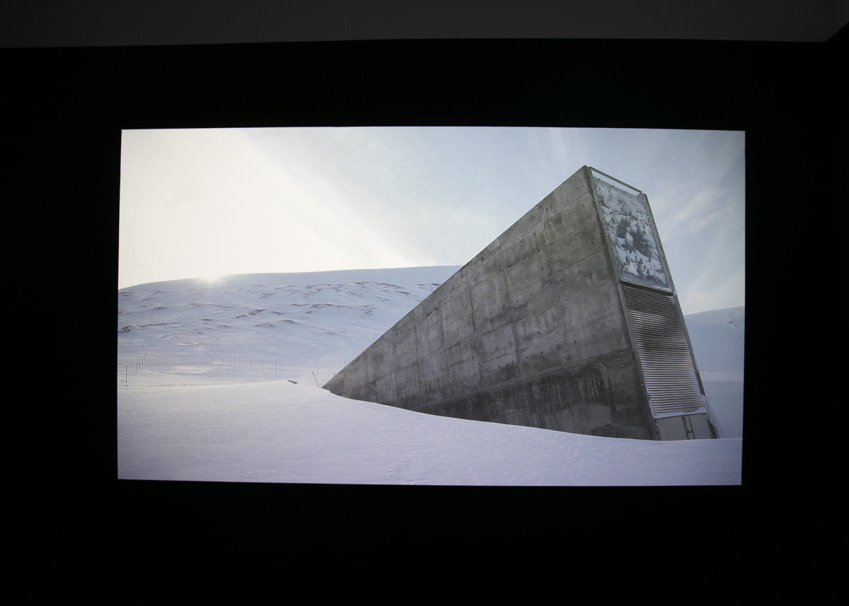 galerienationaledujeudepaume国立网球场现代美术馆特展